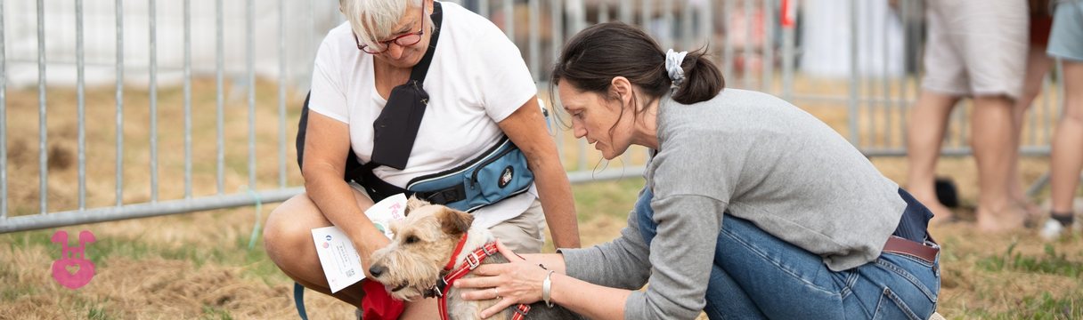 Carole Gautier accompagne un chien lors d'un événement en Vendée