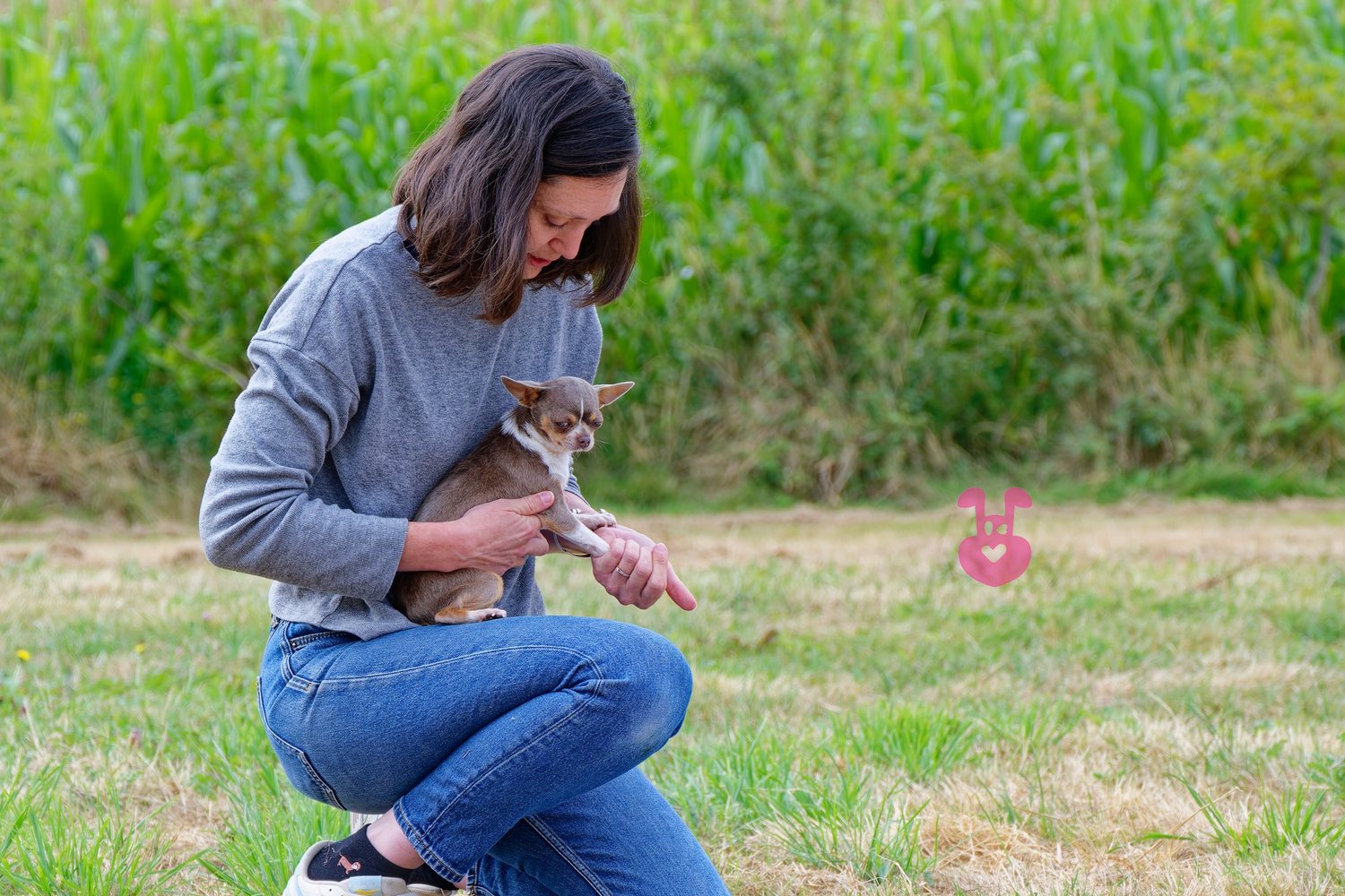 Ostéopathie pour chien et chat aux Sables d'Olonne