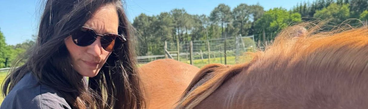 Cheval en bonne santé dans son environnement en Vendée