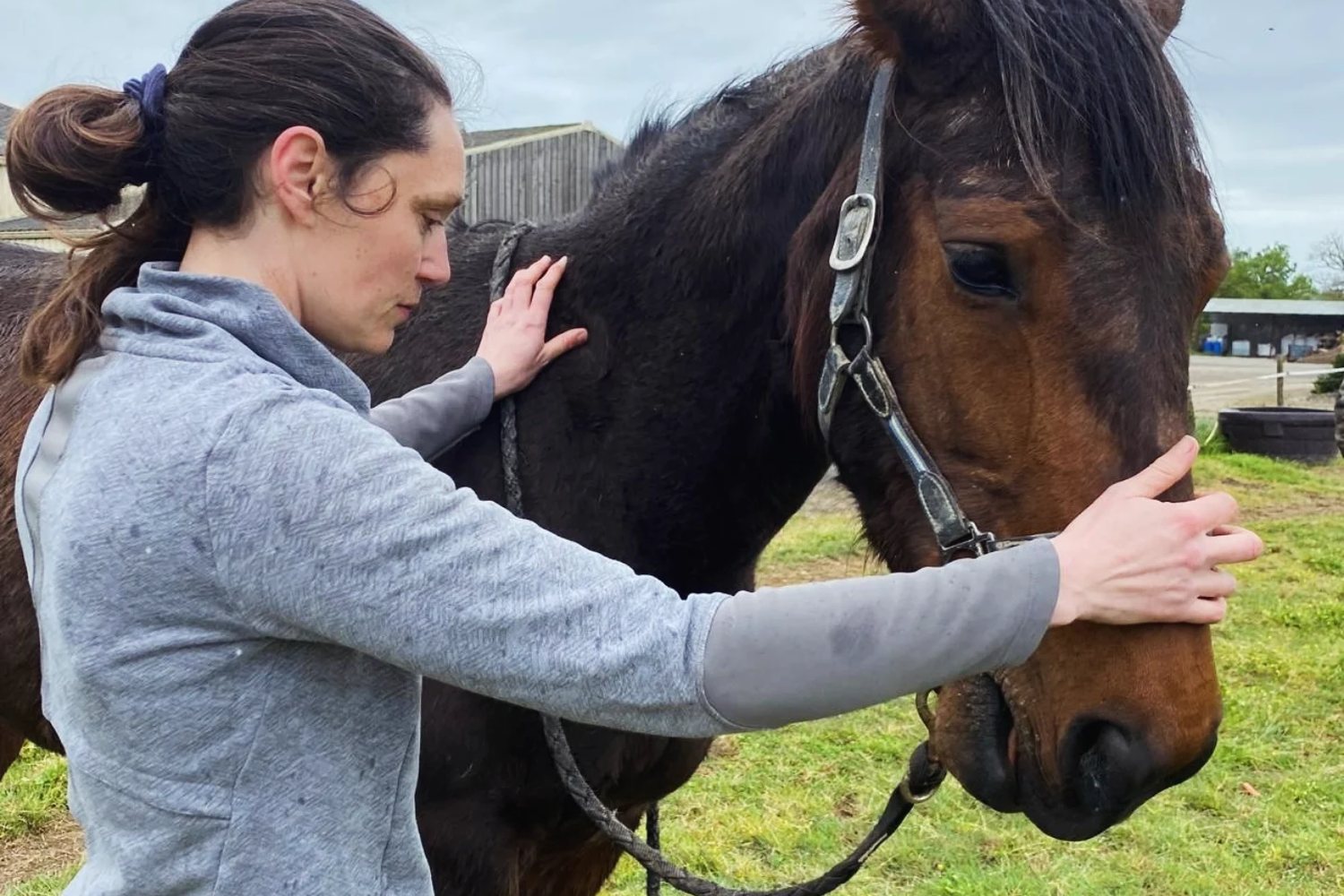 Ostéopathie cheval lors d'une séance en Vendée