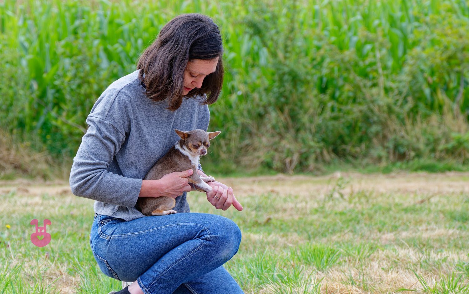 Carole Gautier auprès d'un animal à domicile en Vendée